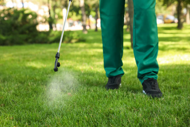 Professional Pest Control in West Leechburg, PA