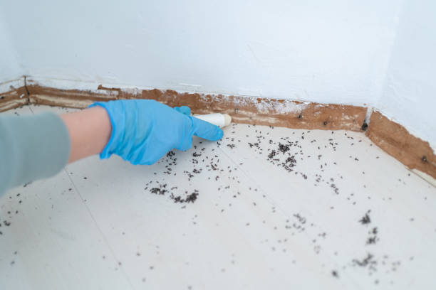 Best Exterminator Services  in West Leechburg, PA