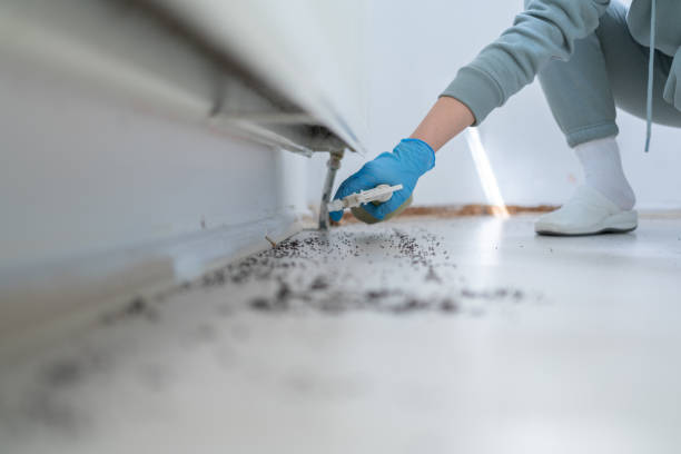 Best Termite Control Services  in West Leechburg, PA