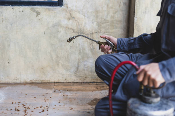 Best Pest Control Near Me  in West Leechburg, PA