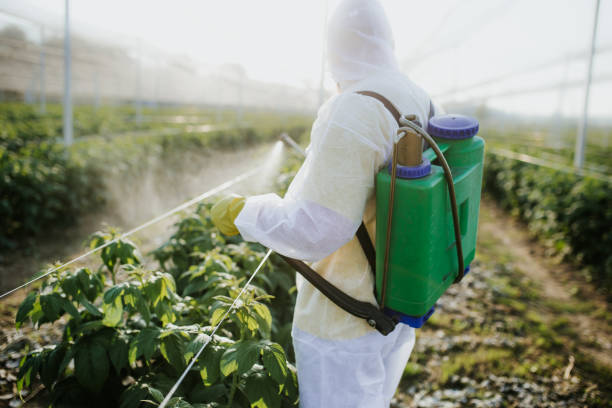Best Termite Control Services  in West Leechburg, PA